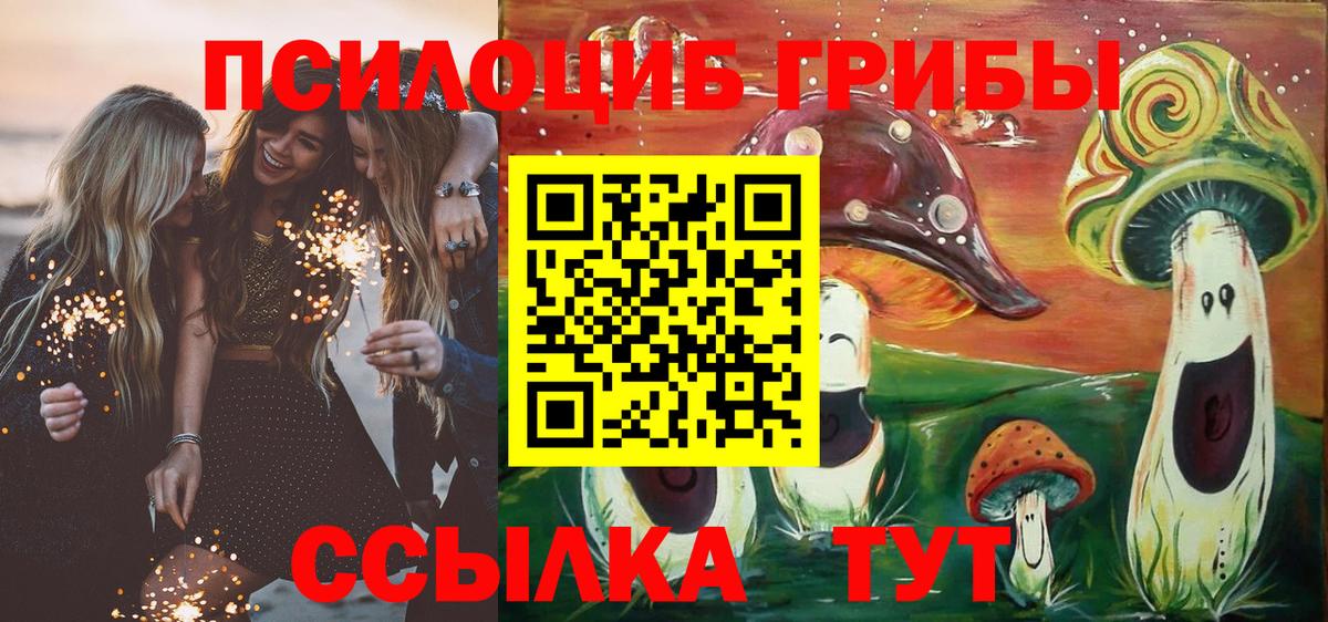 Ачинск  магазин продажи наркотиков  Вход с VPN  Галлюциногенные грибы Psilocybe 