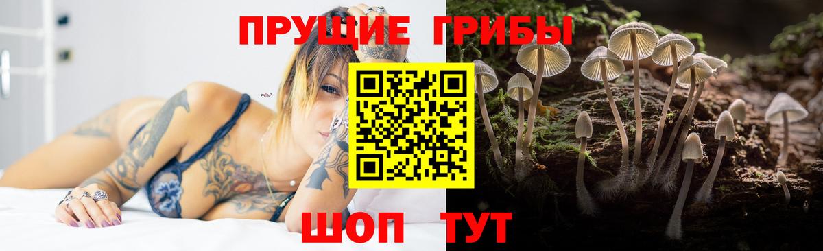 Псилоцибиновые грибы Cubensis  Ачинск 