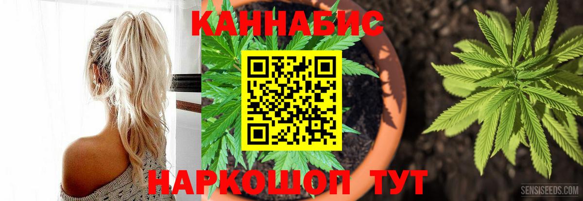 Бошки марихуана Amnesia  Ачинск  Шишки марихуана AK-47  Канабис Ganja 